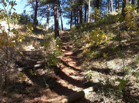 Biff, bruce, kid cat, maddie, spike, stu. Prairie Trail, Custer State Park Mountain Bike Trail in ...