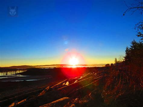Sunset Log Beach By Wolfwings1 On Deviantart