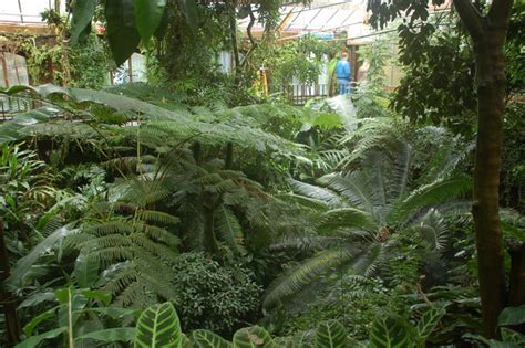 The Tropical Ravine Botanic Gardens © Albert Bridge Geograph