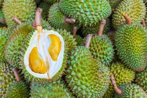 6 Southeast Asian Fruits To Love