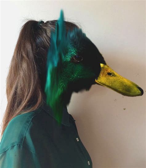 Human Duck Hybrid Based On Charlotte Carons Work Hybrid Art