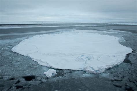 Unprecedented 2018 Bering Sea Ice Loss Repeated In 2019 Geospace