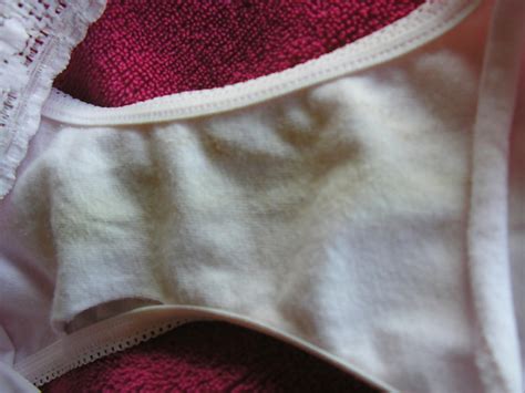 Jo Material Wife Cameltoe Dirty Panty Wet Spot Photo