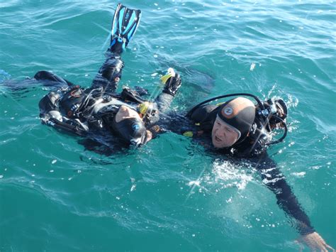 Padi Rescue Diver Course With Haliotis Oeiras By Bork