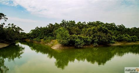 Sundarbans National Park Best Time To Visit Indian National Parks