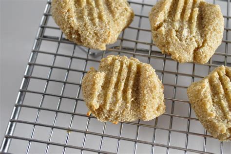 The savory stew made from beef and vegetables is a soft meal that's great to serve your toothless pooch. Soft Dog Treat Recipes: Four Dog Treats Suitable For ...