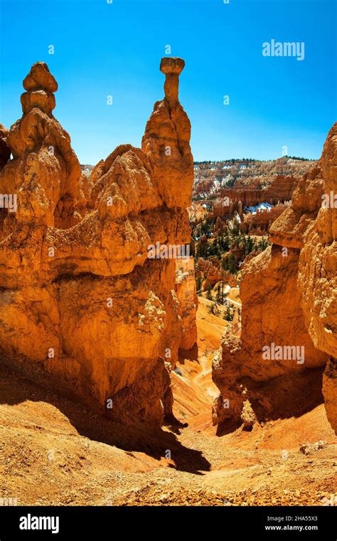 Queens Garden Trail Bryce Canyon National Park Utah Stock Photo Alamy