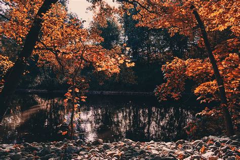 Hd Wallpaper Sweden Gothenburg Utby Water Warm Cold Forest