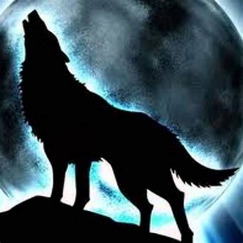 10 Top Pics Of Cool Wolves Full Hd 1920×1080 For Pc