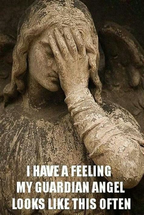 Guardian Angel Funny Captions Humor Funny Quotes
