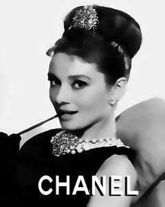 We did not find results for: Audrey Hepburn Loves Fashion #10 Pop Art Canvas Print 16 x ...
