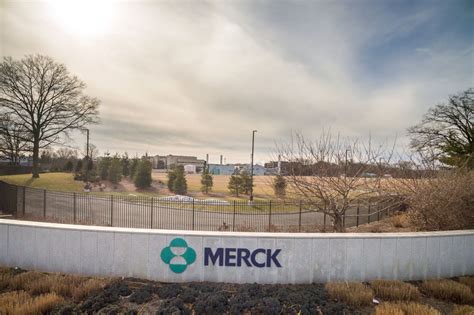 How Mercks Vaccine Lost The Covid Race The New York Times