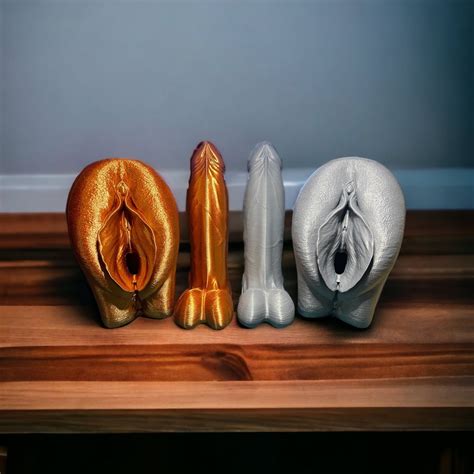 Matching Penis And Vulva Model Clitoris Vagina Pussy 3d Printed Penis