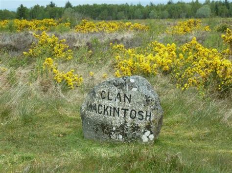 One Of The Graves Picture Of Culloden Battlefield Culloden Moor
