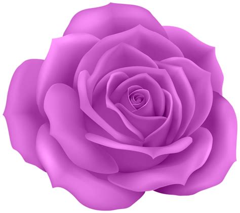 If you find any inappropriate image content on pngkey.com, please contact. Rose Purple Clip Art PNG Image | Gallery Yopriceville ...