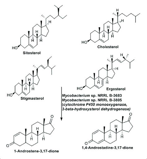 Sterol Side Chain Cleavage Reaction Mediated By Mycobacterium Spp