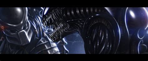 Alien Vs Predator Fanart By Gallardose On Deviantart