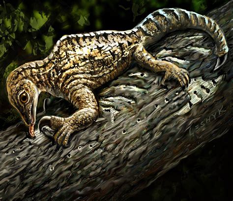 Huge Claw Bizarre Limbs Helped Ancient Reptile Dig Live Science