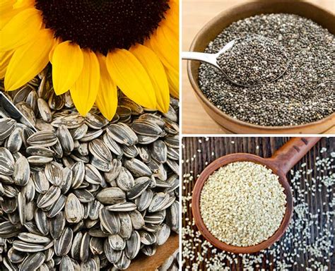 Lose Weight Quickly By Adding These Healthy Seeds To Your Diet Herzindagi