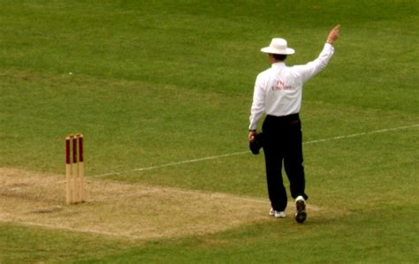 Cricket Corner Umpire Signals