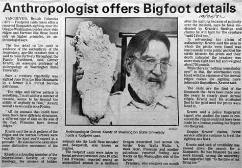 The Legend Of Sasquatch In Bigfoot Sightings Too Unnerving To Ignore