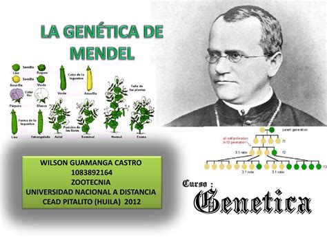 Issuu La Genetica De Mendel By Wilson Guamnga