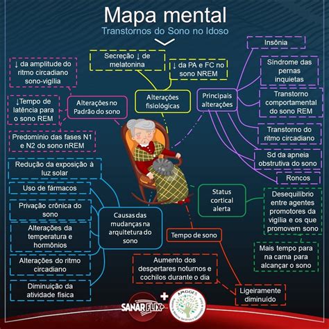 Mapas Mentais Sobre Idoso Study Maps