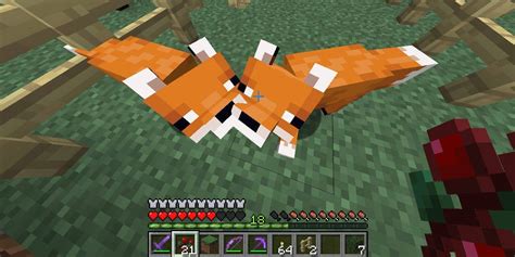 Jul 12, 2021 · how to tame a fox in minecraft first you need to make a brand new fox—basically, you need to convince foxes to breed. How to tame a fox in 'Minecraft' and get the game's cutest ...