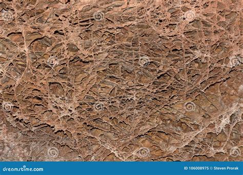Boxwork Formations In A Cave Ceiling Stock Image Image Of Hills