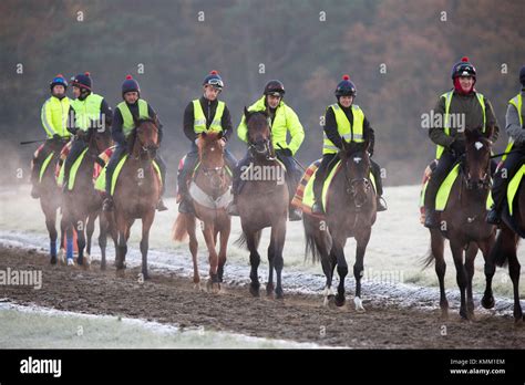 Newmarket Heath High Resolution Stock Photography And Images Alamy