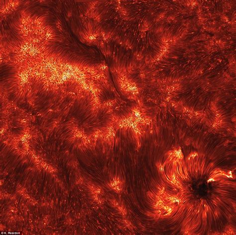 Stunning New Image Of Suns Surface Covered In Fiery Tubes Of Plasma