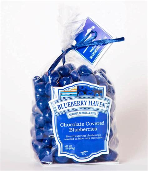 Chocolate Covered Blueberries Blueberry Haven Chocolate Covered