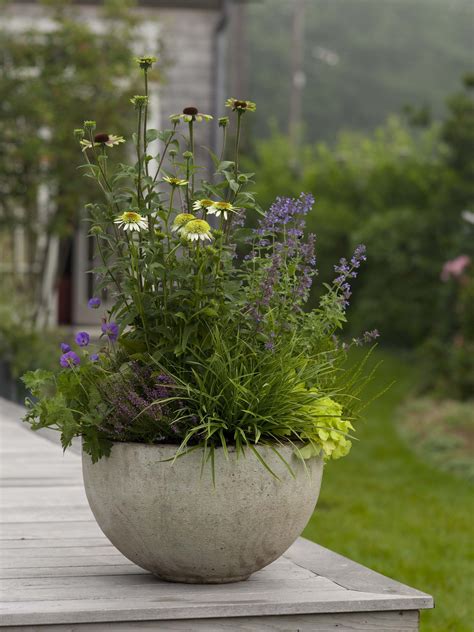 Summer Planter Containers Planters Pinterest