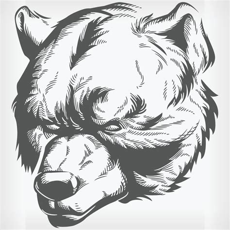 Grizzly Bear Head Stencil Drawing