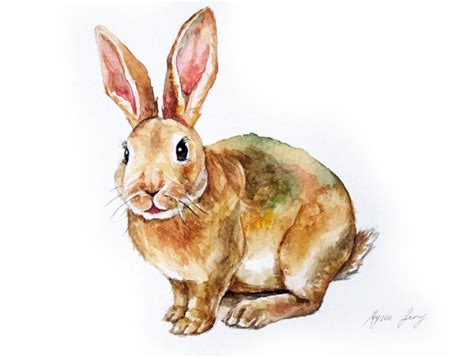 Rabbit Original Watercolor Painting 46 Animal Etsy