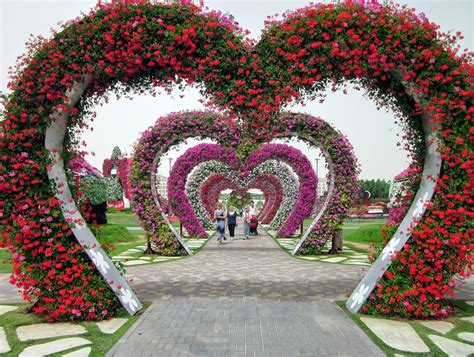 Dubai Miracle Garden Largest Flower Garden In The World Miracle
