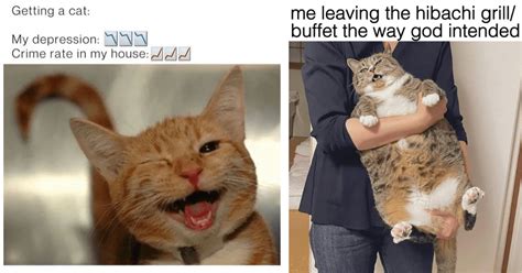 Claw Some Comedy 21 Cat Memes For Feline Aficionados I Can Has