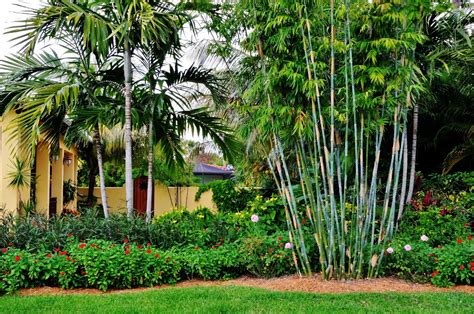 Landscape Ideas South Florida Front Yard Garden Design