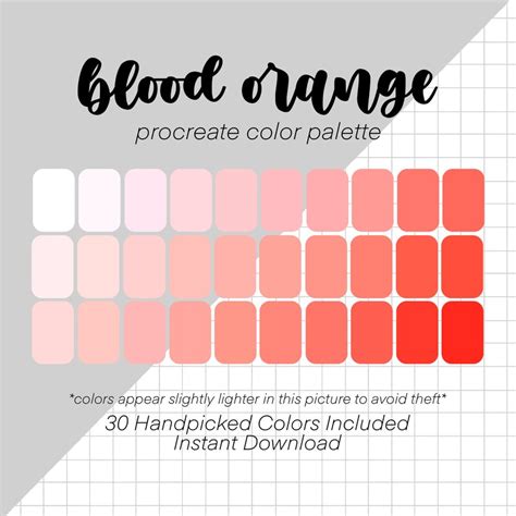 Blood Orange Procreate Color Palette 30 Colors Swatches Etsy