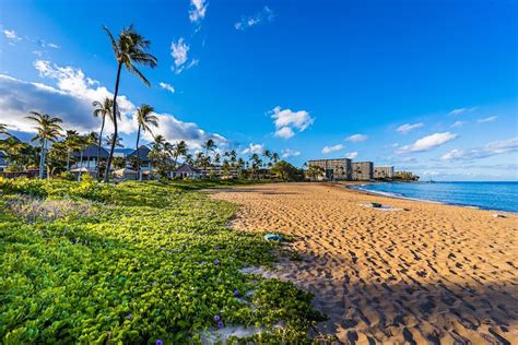 15 Top Things To Do In Maui Perfect For First Time Visitors Flipboard