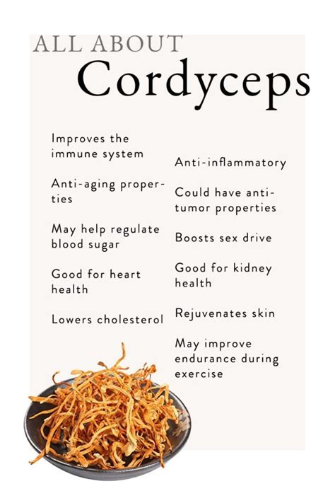 All About Cordyceps 40 Aprons