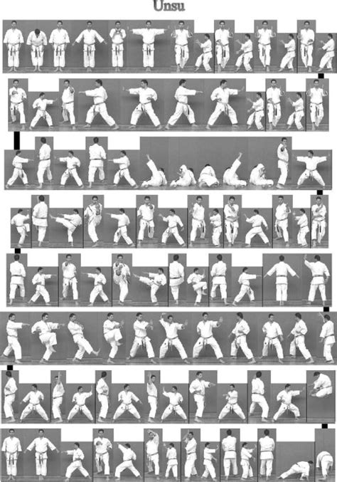Dokter kureha adalah orang yang pertama kali menyebut nama tekad d ketika dia menyebutkan nama raja bajak. Karate Do: Kumpulan Kata Shotokan