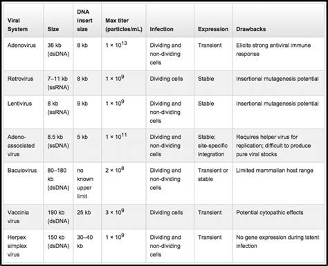 Comparing Viral Vector Expression Systems - Bitesize Bio