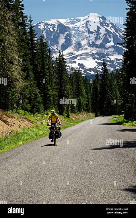 Wa18156 00washington Cyclist On Forest Road 23 With A View Of