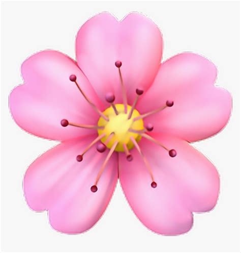 Iphone Sticker By Conny Cherry Blossom Emoji Png Transparent Png