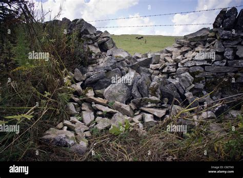 Collapsed Drystone Wall Stock Photo Alamy