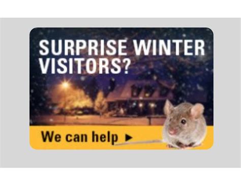 We can schedule you for same day service! Critter Control - 16 Photos & 10 Reviews - Pest Control ...