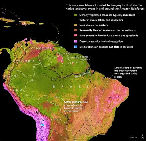 Deforestation Of The Amazon Rainforest And Atlantic Forest In Brazil