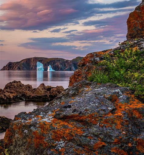 🇨🇦 Wild Cove Twillingate Newfoundland By Ray Mackey
