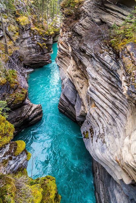 Johnston Canyon In Banff National Park Canada Its A Beautiful World